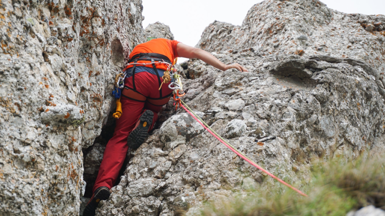 specialise rescue